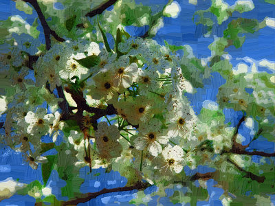 Impasto