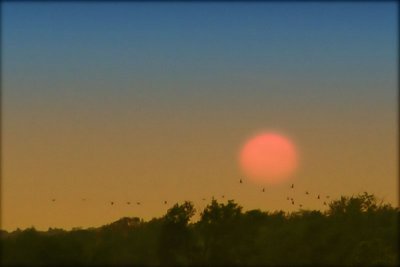 Night Flight 2_filtered.jpg