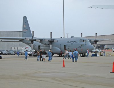IMG_0388_11x85.jpg
