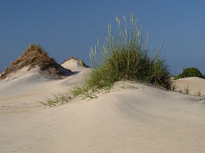 wDunes1 P7153525.jpg