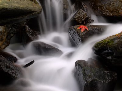 wCatoctin Fall5.jpg
