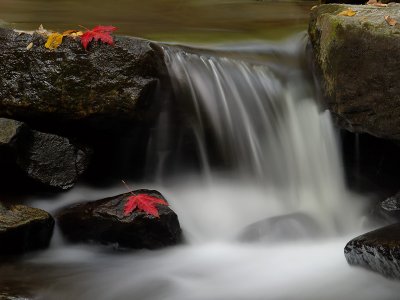 wCatoctin Fall1.jpg