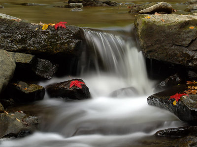 wCatoctin Fall8.jpg