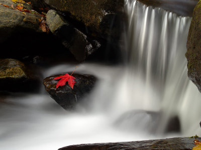 wCatoctin Fall3.jpg