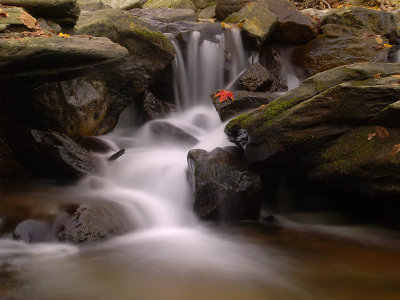 wCatoctin Fall10.jpg