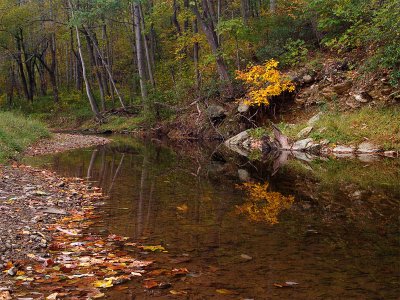 wPatuxent River2.jpg