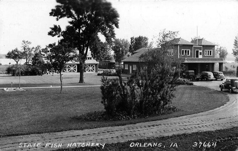 Orleans Hatchery 1930s