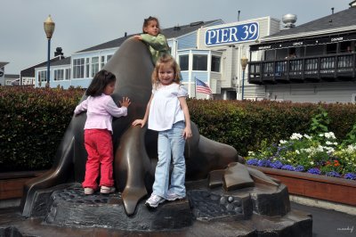 Pier 39