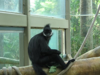 SDZoo04.jpg