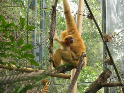 SDZoo16.jpg