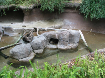 SDZoo21.jpg