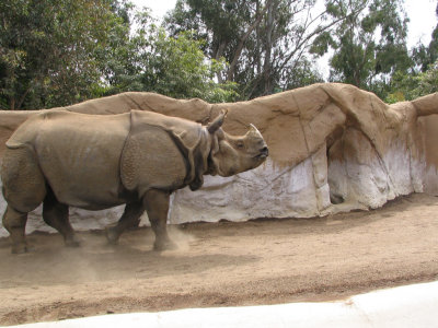SDZoo28.jpg