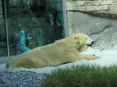 SDZoo57.jpg