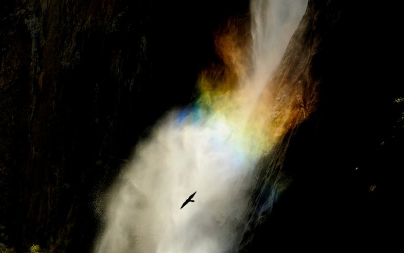 Yosemite Falls, Rainbow and Raven