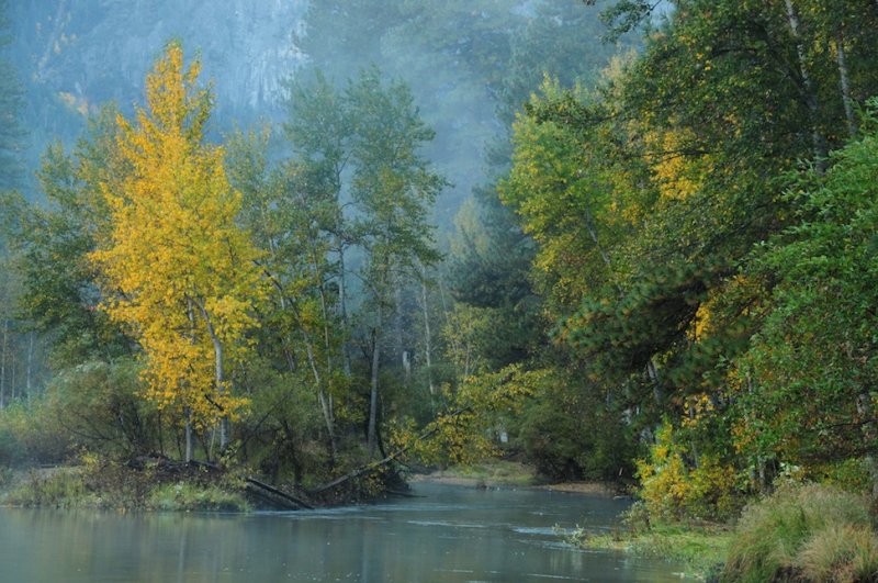Out Along the Merced River