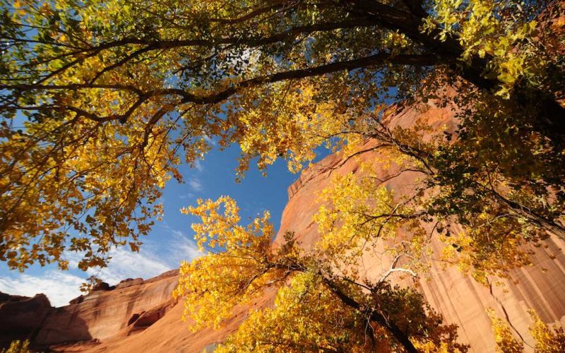 In Canyon de Chelly National Monument, Arizona