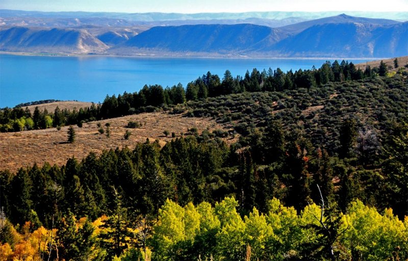 A View from on High of Bear Lake