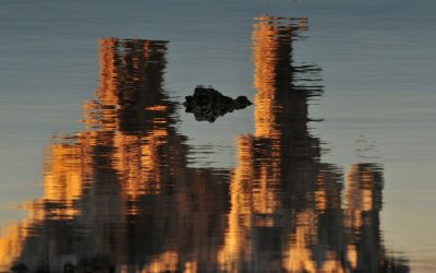 Mono Lake in Reflection, Flipped