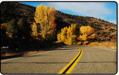 Cottonwoods on Highway 182