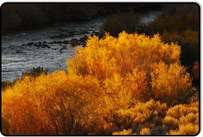 Along the East Walker River