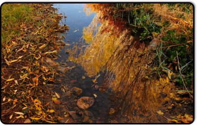 Near the East Walker River