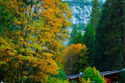 At Yosemite Lodge