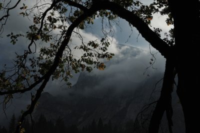 Dawn over Oaks and Half Dome