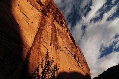 Cliffs of Sandstone, Canyon de Chelly