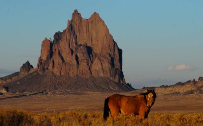 Shiprock and Horse