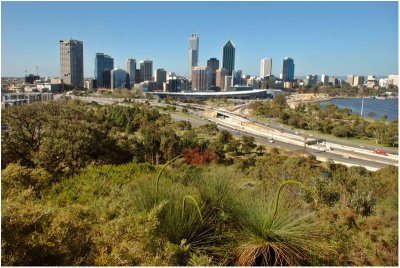 Perth skyline from King's park