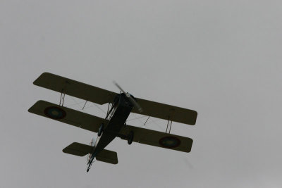 Great War Display Team 5