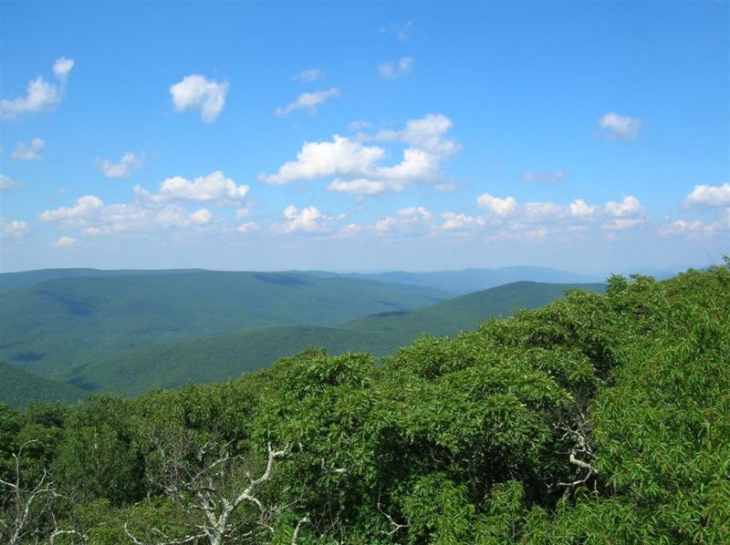 Looking North