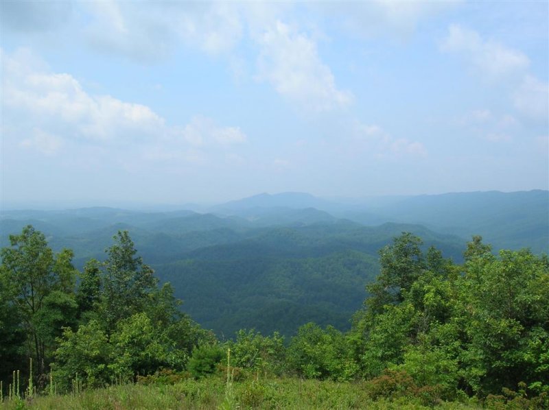 Looking North