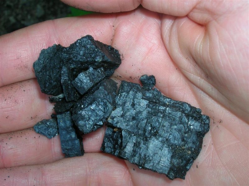 Buchanan County Coal