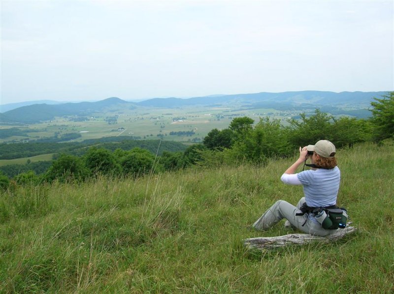 Scanning for Raptors