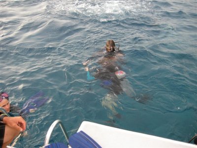 IMG_0155 (Large).JPG