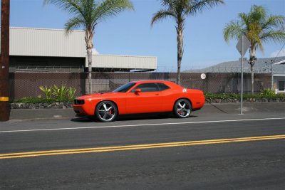 IMG_0555 (Large).JPG