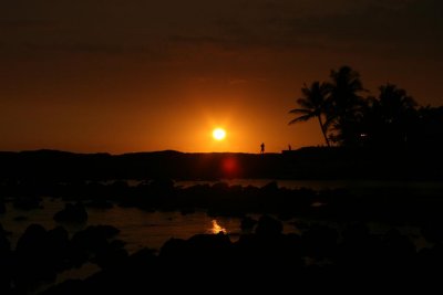 IMG_0592 (Large).JPG