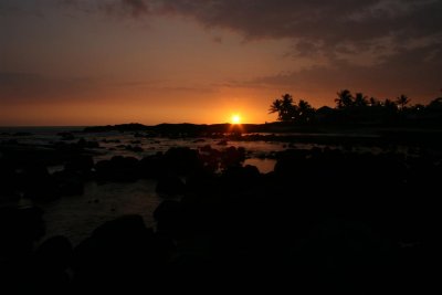IMG_0597 (Large).JPG
