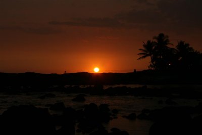 IMG_0603 (Large).JPG