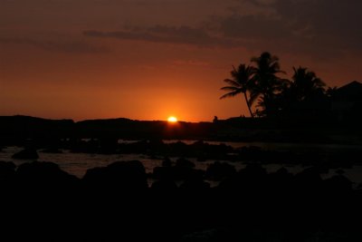 IMG_0604 (Large).JPG