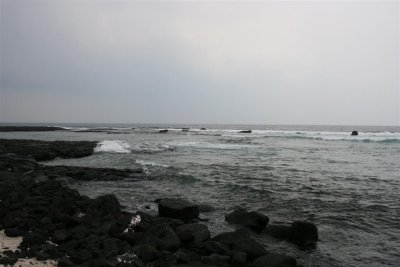 IMG_0618 (Large).JPG