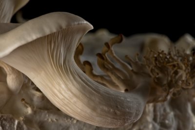 AL3_3934.jpg