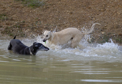 Watch it kid, and no, I'm not going to play! Get lost!