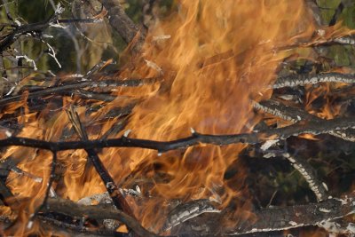 Burning garden rubbish before fire restrictions commence.