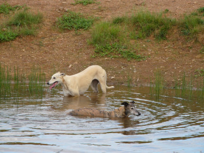 Cool off time for the Grey girls.