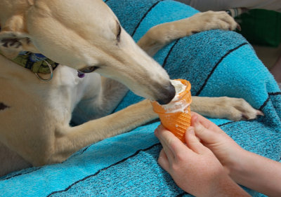 Honey showing how a Princess should eat an icecream.