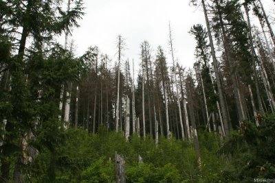 Morskie Oko