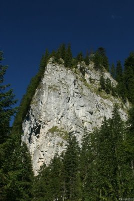 IMG_12262.JPG