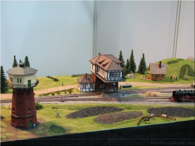 IMG_3447.JPG